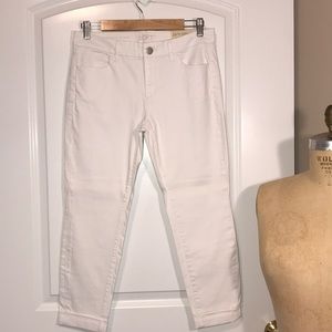 LOFT Modern Skinny Cuffed Ankle Jeans (Petite)